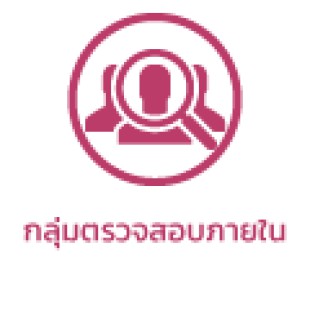 กลุ่มตรวจสอบภายใน