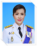 ผู้ตรวจราชการ